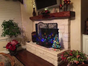 2014-12-13 Christmas Fun 11.jpg